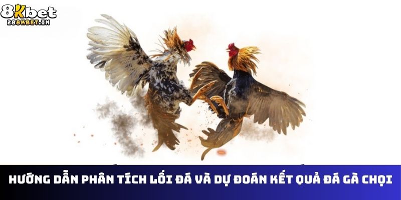 Đá gà chọi